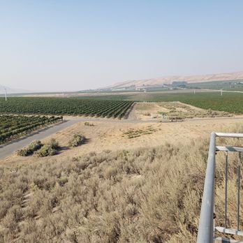 Kiona Vineyards - a view of a vineyard from the top of a hill - Wineries Near Me - Benton City, Washington Kiona Vineyards - a view of a vineyard from the top of a hill - Wineries Near Me - Benton City, Washington