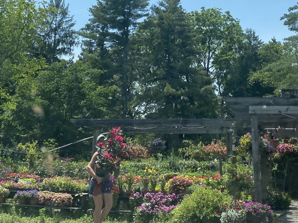 TRIPLE OAKS NURSERY AND FLORIST Updated October 2024 13 Photos