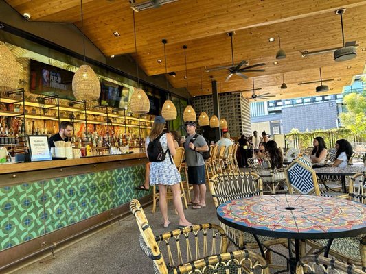 Lylo Swim Club by null