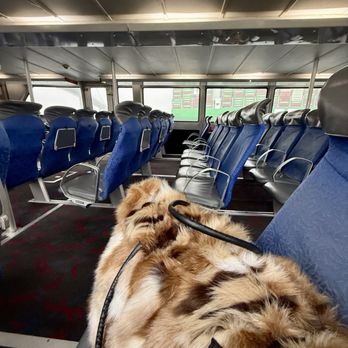 Catalina Express - On board and ready to go! Yay!! My Fuzzy bag beside me | Luggage stored! - Boat Charters Near Me - San Pedro, California Catalina Express - On board and ready to go! Yay!! My Fuzzy bag beside me | Luggage stored! - Boat Charters Near Me - San Pedro, California