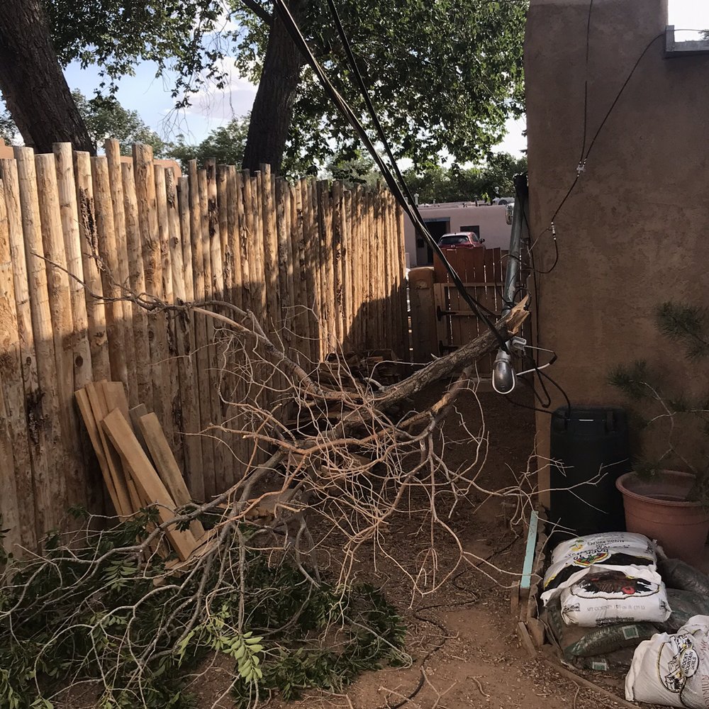 Pulsar Electric - Branch took out electrical mast. Yikes we were lucky. - Electricians Near Me Pulsar Electric - Branch took out electrical mast. Yikes we were lucky. - Electricians Near Me