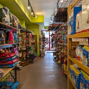 Small Wonders Pets - A clean store - Pet Stores Near Me - Toronto, Ontario