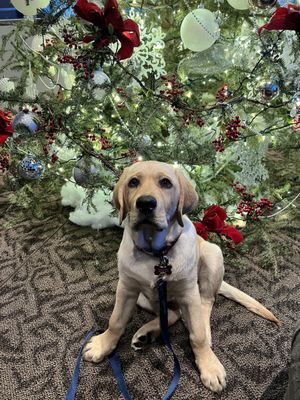 Knob Hill Inn Sun Valley by null