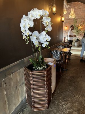 Ripe Kitchen & Bar by null