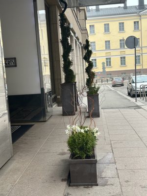 Hotel Lilla Roberts by null