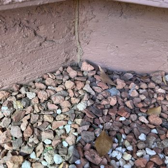 Eco Valley Pest Control - Make sure to check the inside corners of your foundation for hard to see termite tubes. - Pest Control Near Me
