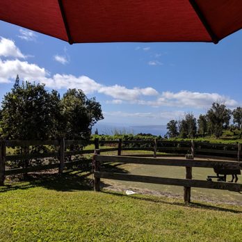 Ulupalakua Ranch Store & Grill - Nice view - American Near Me - Kula, Hawaii Ulupalakua Ranch Store & Grill - Nice view - American Near Me - Kula, Hawaii