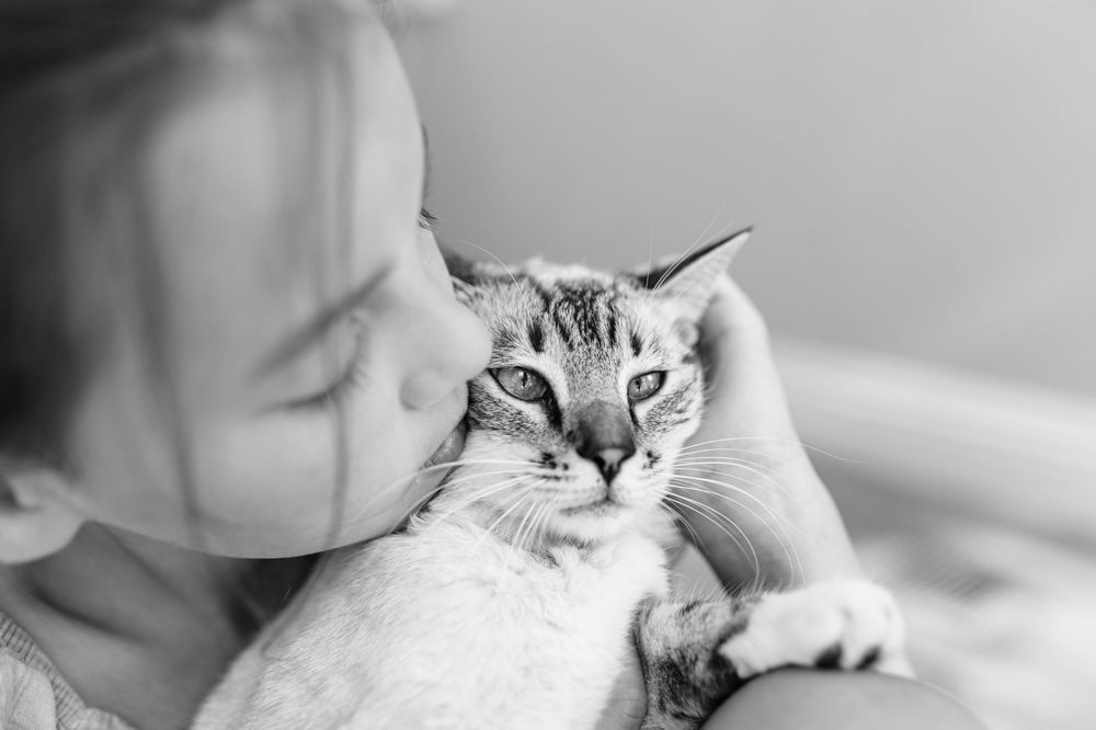 CODAPET OCALA Updated June 2024 Reddick, Florida Veterinarians