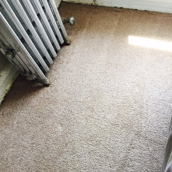 Carpet Cleaning Group - No more puppy problem area thanks to Carpet Cleaning Group! - Carpet Cleaning Near Me - Chicago, Illinois