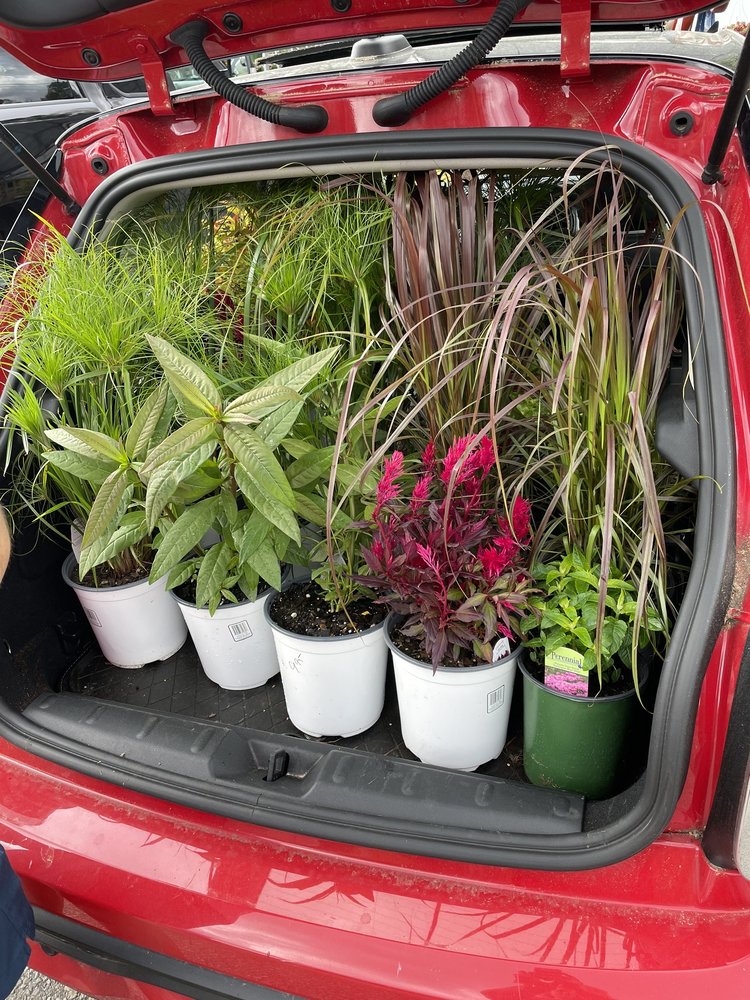 CEDAR CREEK NURSERY HELENA with 14 real customer photos Updated