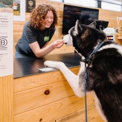 Only Natural Pet - Boulder - Store Register Counter