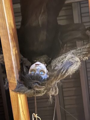 Night Owl Bar Round Rock by null