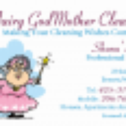 Fairy God Mother Cleaning