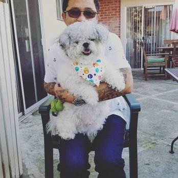 Alameda See Spot Run - Before grooming! - Pet Stores Near Me - Alameda, California