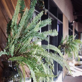 Cosmic Fire Apothecary - Herbal Shops Near Me - Sedona, Arizona