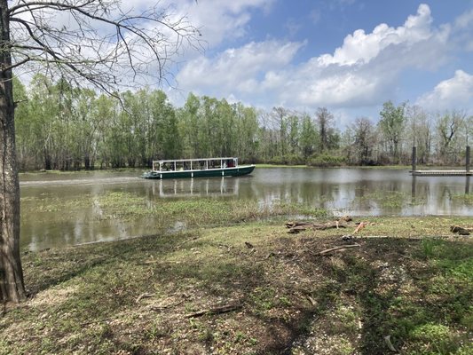 McGee's Louisiana Swamp & Airboat Tours by null