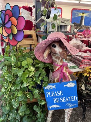 Ann's Seafood by null