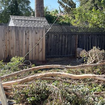 Reasonable Tree Services - Tree Services Near Me Reasonable Tree Services - Tree Services Near Me