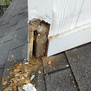 A2z Handyman & Landscaping - Before - Landscaping Near Me A2z Handyman & Landscaping - Before - Landscaping Near Me