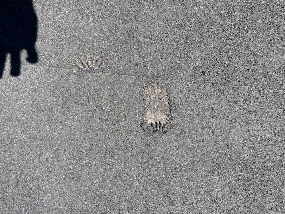 Slide of One Stop Roofers