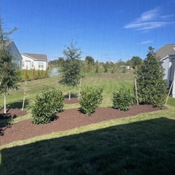 Greenwood Creek Nursery - They know where to put the right trees and shrubs