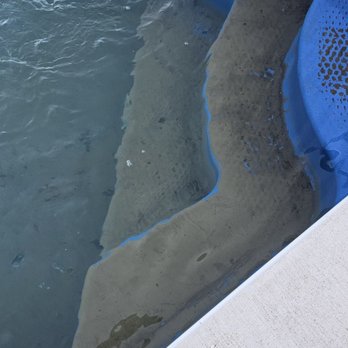 Poolside Pros Loves Park - Mud covering the steps - Pool Cleaners Near Me - Loves Park, Illinois Poolside Pros Loves Park - Mud covering the steps - Pool Cleaners Near Me - Loves Park, Illinois