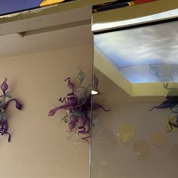 Little Pearls Kids Dentistry & Orthodontics - Bothell