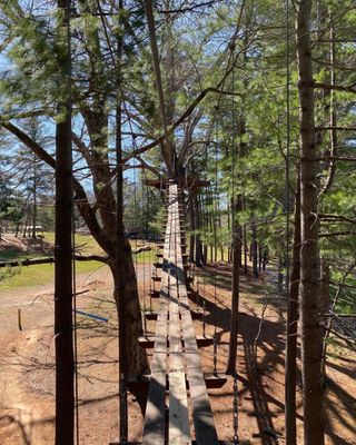 Asheville Treetops Adventure Park by null