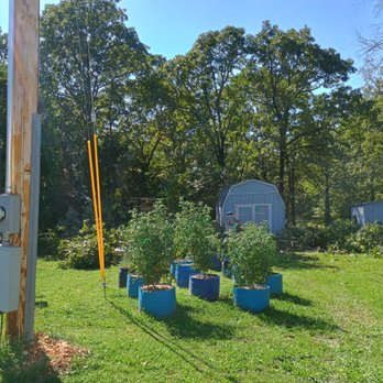 J & M Tree Service - Tree Services Near Me J & M Tree Service - Tree Services Near Me