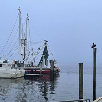Safe Harbor Seafood - Seafood Near Me - Jacksonville, Florida Safe Harbor Seafood - Seafood Near Me - Jacksonville, Florida