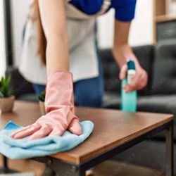 Sargent Cleaning Service