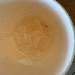 fly in ice