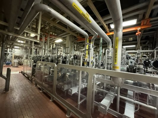 Budweiser Brewery Experience by null