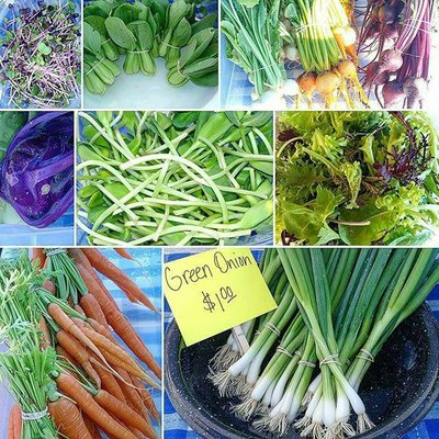 Nampa Farmers Market by null