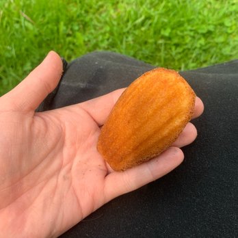 Black Walnut Bakery - Madeleine - Bakeries Near Me - Ottawa, Ontario Black Walnut Bakery - Madeleine - Bakeries Near Me - Ottawa, Ontario