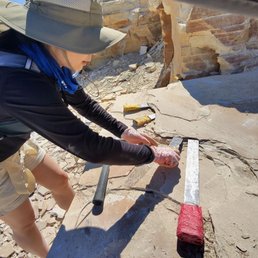 Digging for fossils