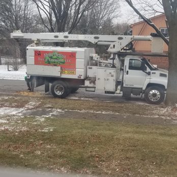 Metro Detroit Tree and Firewood - Tree trimming truck - Tree Services Near Me - Warren, Michigan Metro Detroit Tree and Firewood - Tree trimming truck - Tree Services Near Me - Warren, Michigan