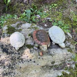 Caledonia State Park