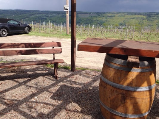 Keuka Lake Vineyards by null