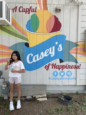 Casey's New Orleans Snowballs by null