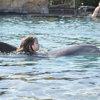 Discovery Cove - Amusement Parks Near Me - Orlando, Florida