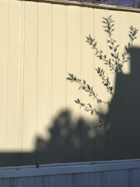 Slide of Best Handyman Services