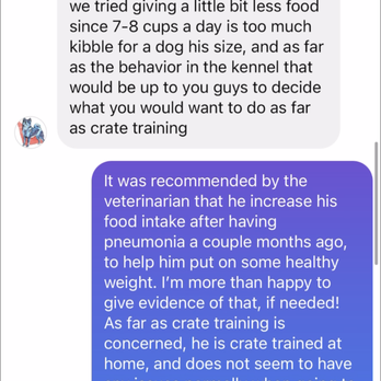 Canine Perspective - 3 of 6 - Pet Boarding Near Me - Chicago, Illinois