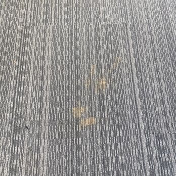 Peak 16 - Smeared dog feces in our hallways - Apartments Near Me - Phoenix, Arizona