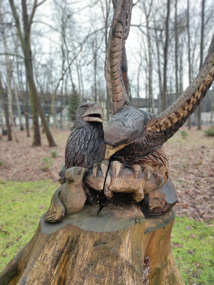 Miejski Ogród Zoologiczny