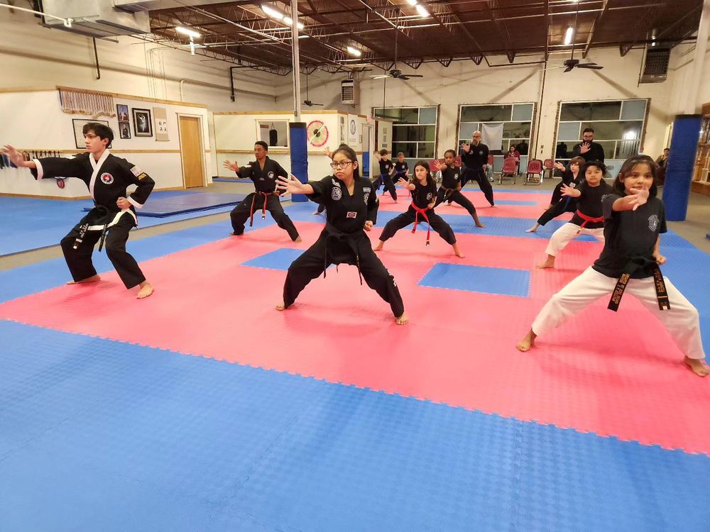 Decatur Martial Arts Academy Logo