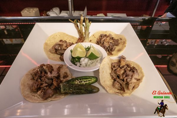 El Galante Mexican Grill by null