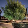 Photo of A & J Tree Service