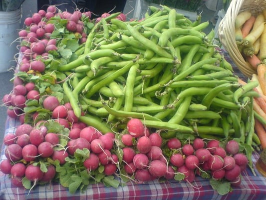 Santa Clara Farmers Market by null