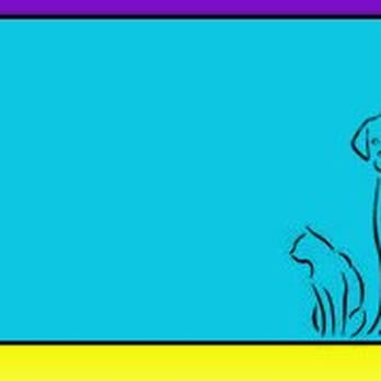 Shake Wiggle N' Roll Animal Rescue - Shake Wiggle N' Roll - Animal Shelters Near Me Shake Wiggle N' Roll Animal Rescue - Shake Wiggle N' Roll - Animal Shelters Near Me